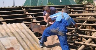 Демонтаж крыши в Лесозаводске - стоимость работ от 736 рублей за м2